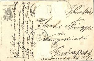 1906 Árvaváralja, Oravsky Podzámok; Árva vára. Kiadja Franz Pietschmann No. 2093. / Oravsky hrad / c...
