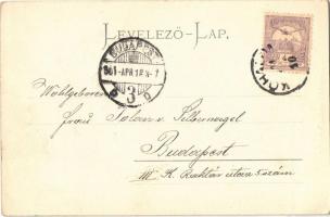 1901 Segesvár, Schassburg, Sighisoara; utca, üzletek. Fritz Teutsch kiadása / street, shops