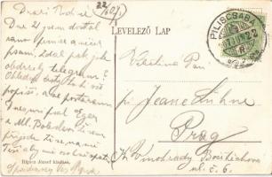 1907 Piliscsaba, Klotild-telep. Rigócz József kiadása (EK)