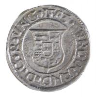 1543K-B Denár Ag "I. Ferdinánd" (0,61g) T:1-
Hungary 1543K-B Denar Ag "Ferdinand I&q...