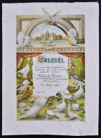 1959 Postagalamb verseny oklevél 34x46 cm