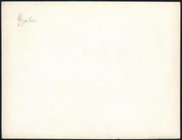 cca 1940 Gyalu, a gyalui vár, fotó, hátulján feliratozva, 11,5×15 cm
