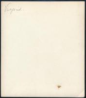 cca 1930-1940 Visegrád, kúria, fotó, hátulján feliratozva, 13,5×12 cm