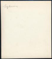 cca 1940 Nagykovácsi, Teleki-Tisza kastély, fotó, hátulján feliratozva, 14×12 cm