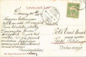 1908 Domony, Blúm kastély, Segesváry kastély, Ágostai hitvallású evangélikus templom. Art Nouveau