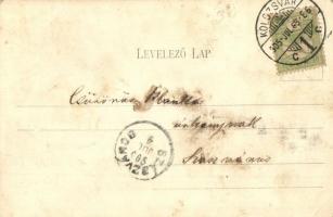 1905 Kolozsvár, Cluj; Pályaudvar, Vasútállomás, személyvonat. Kiadja Schuster Emil / railway station...