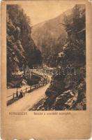 1911 Petrozsény, Petrosani; Szurduki szoros. Kiadja Herz Henrik. Kohn R. felvétele  / Pasul Surduc / mountain pass (szakadások / tears)