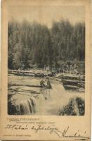 1901 Petrozsény, Petrosani; Petrozsény-vidéki fenyőerdő, farönkök. Joánovits és Sternád kiadása / pine forest, logs (EK)