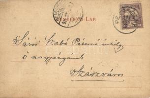 1901 Petrozsény, Petrosani; Petrozsény-vidéki fenyőerdő, farönkök. Joánovits és Sternád kiadása / pi...