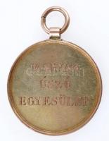 1896. "Balaton átúszása 1896 / Magyar Úszó Egyesület" aranyozott Br medál füllel, szalag n...