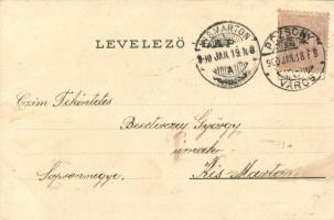 1900 Art Nouveau lady. Serie 306. litho