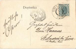 1906 Tolmin, street, church