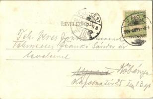 1904 Vác, Kossuth tér, Hornung Béla Műcsarnok kávéháza. Divald Károly 584. sz. (fl)