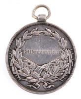 1917. "Károly Ezüst Vitézségi Érem II. osztálya" jelzetlen Ag kitüntetés füllel, szalag né...