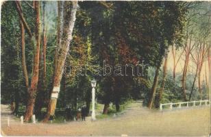 1921 Magyaróvár, Mosonmagyaróvár; Főhercegi liget park részlete (EB)