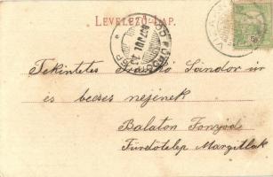 1907 Vízakna, Salzburg, Ocna Sibiului; fürdő, Villa Louise. Kiadja Karl Graef No. 10. / spa, villa. ...