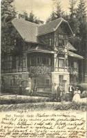1905 Tusnádfürdő, Baile Tusnad; Villa Elsa. Kiadja Müller Gy. utóda, Tartler Alfréd / villa (kis szakadás / small tear)