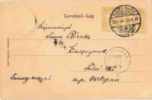 1901 Kaposvár, Fő utca, Somogy-Megyei Takarékpénztár. Címeres szecessziós keret. Art Nouveau, litho