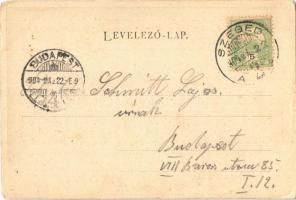 1904 Szeged, Közkórház. Várnay L. kiadása (EK)