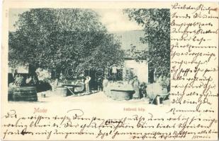 1901 Mór, Szüreti kép