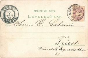 1898 Sopron, Ödenburg; Széchenyi István szobra, Várkerület, Domonkos templom, hölgy szőlővel. Regel ...