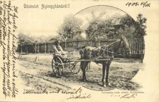 1903 Nyíregyháza, Talyigás. levelezőlap kiadó vállalat