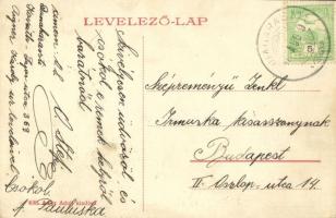 Dunaharaszti, Kossuth Lajos utca, Adler Adolf üzlete és saját kiadása