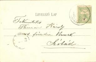 1905 Balatonföldvár, Csesznák nyaraló. Erdélyi Ignác kiadása