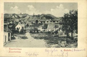 1900 Budaörs, Kápolna-hegy, kerekes kút. Kruspel Ferenc kiadása