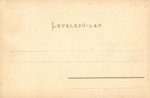 Budapest VII. Erzsébet körút, Körúti fürdő és uszoda, vízgyógyintézet, Általános Bank részvénytársas...