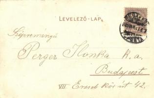 1900 Budapest XXII. Budafok, Törley kastély. Bruchsteiner és fia kiadása  (EK)