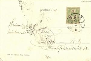 1905 Nagykanizsa, Zászlószentelés ünnepség, bútorraktár, Klein József üzlete, magyar zászlók