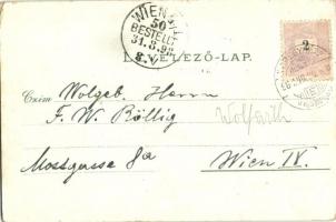 1898 Nyíregyháza, Fő tér, városház, Népkert, lovassági laktanya, főgimnázium. Art Nouveau, floral, l...