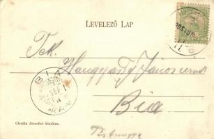 Budapest XI. Kelenföld, vasútállomás és gőzmozdony. Chvála Józsefné kiadása  (EK)