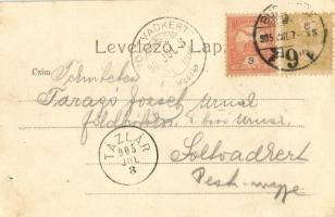 1905 Budapest VIII. Tűzoltó parancsnokság, vendéglő (lyuk / pinhole)