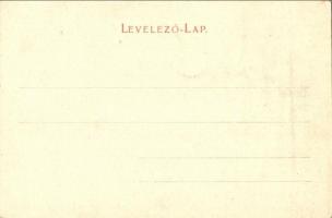 Nyíregyháza, városháza, tér, Horn Sámuel üzlete, kút, lovaskocsi. Levelezőlap kiadóhivatal