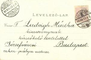 1899 Kecskemét, Fő tér, színház, zsinagóga, Katona József és Szentháromság szobor, Katolikus főgimná...