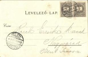 1899 Kecskemét, színház, nagytemplom, Katona József szobor, új városháza, puttók. Steiner Mihály kia...