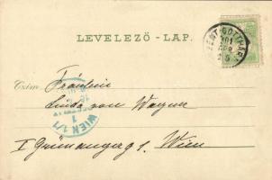 1901 Szentgotthárd, Fő utca, Lang Mór üzlete