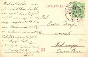 1912 Budapest XII. Dr. Vadász Manó nyaralójának park részletei. Virányos út 19.  (szakadás / tear)