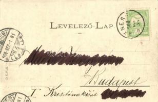 1908 Balaton, Halászkunyhó, friss halászlé készítése bográcsban. A Balaton halászata