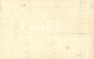 Budapest XIV. Angol park, Hegyi vasút. photo