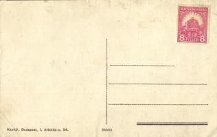 Budapest I. Bellevue szálloda, Micsinyi Gy. függönyfestő üzlete. Attila út 53.  (EK)