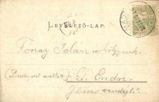 1905 Balatonalmádi, Fürdőtelep keleti része. Pósa Endre kiadása