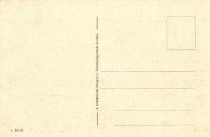 Kiskunhalas, szélmalom, szőlőskert