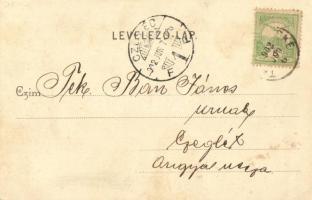 1902 Tápióbicske, Schvartz Samu fűszer, vas és rövidáruk kereskedése, Nagybani só és a Pandi Hengerm...