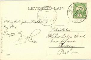 1908 Bag, Katolikus iskola, községháza, jegyzői lak. Art Nouveau, floral