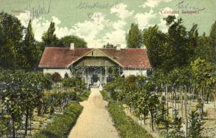 1909 Selyp (Lőrinci), kastély, gyümölcsöskert