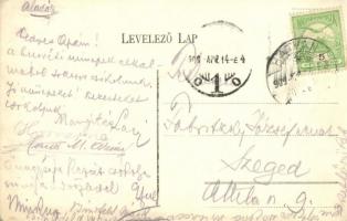 1909 Selyp (Lőrinci), kastély, gyümölcsöskert