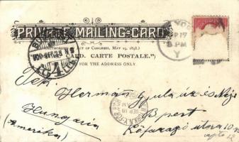 1902 Budapest, Az Országos Nemzeti Szövetség által az amerikai magyarok részére alapított nemzeti zá...